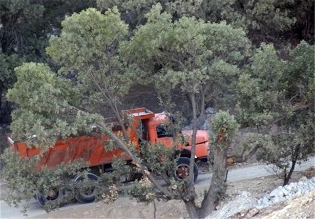 "بیکاران" در کهگیلویه و بویراحمد برای امرار و معاش منابع طبیعی را تخریب می‌کنند