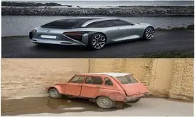 سیر تکامل ژیان