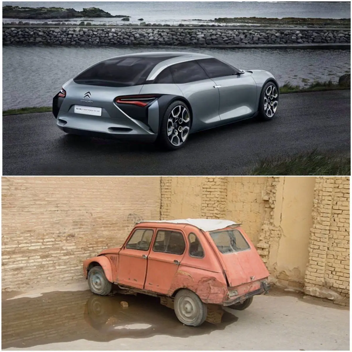 سیر تکامل ژیان