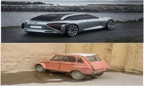سیر تکامل ژیان