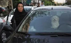 هشدار پلیس راهور به مصرف کنندگان مواد مخدر