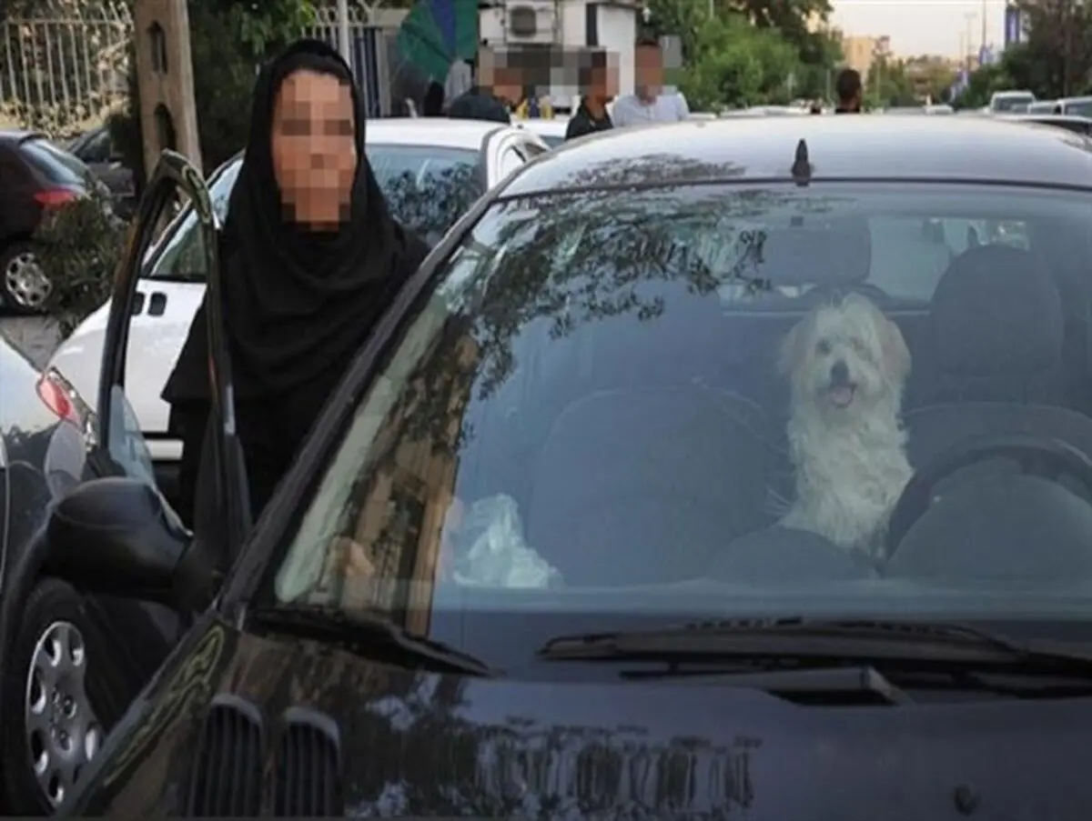 هشدار پلیس راهور به مصرف کنندگان مواد مخدر