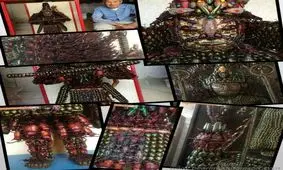 مجسمه با حشرات!