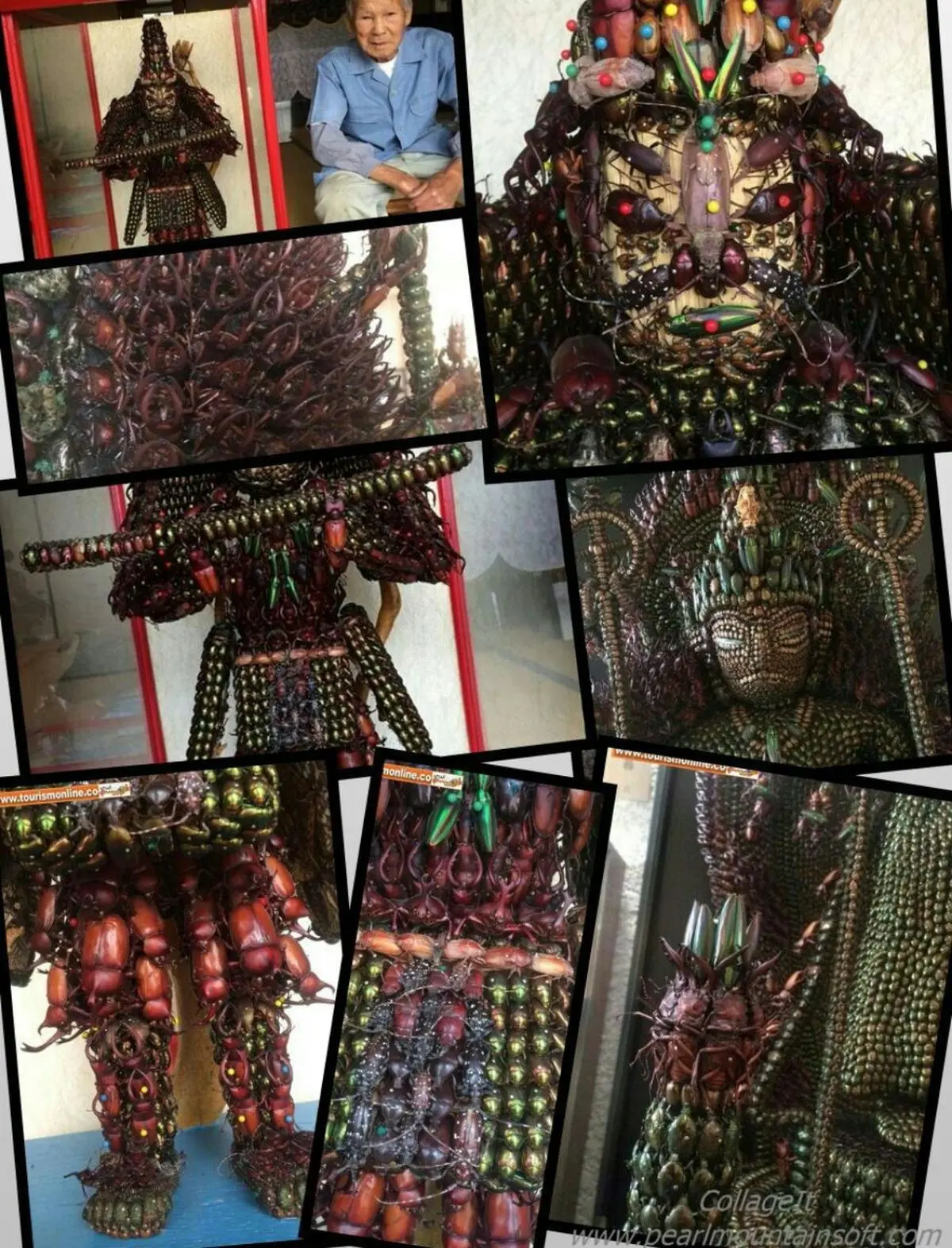 مجسمه با حشرات!