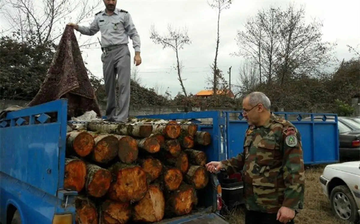 قاچاق چوب معضلی اساسی در شمال کشور است