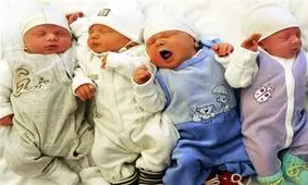 جزئیات جدید عرضه شیرخشک‌های رژیمی