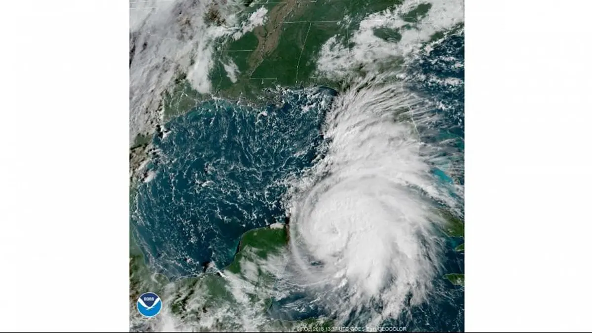 تخلیه ساکنان ایالت فلوریدا با نزدیک شدن طوفان مایکل