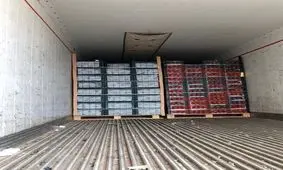 بیش از ۱۳ تن گوجه فرنگی قاچاق در گمرک دیر کشف شد+تصویر