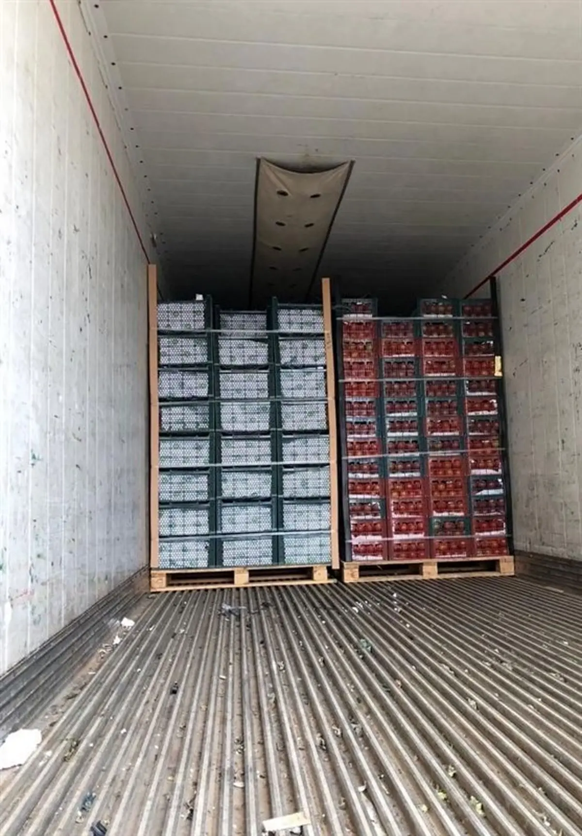 بیش از ۱۳ تن گوجه فرنگی قاچاق در گمرک دیر کشف شد+تصویر