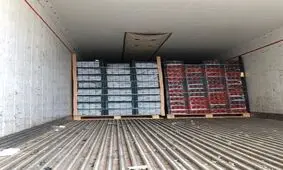 بیش از ۱۳ تن گوجه فرنگی قاچاق در گمرک دیر کشف شد+تصویر