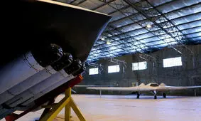 ایران چگونه جزو ۷ قدرت برتر پرنده‌های شکاری شد؟