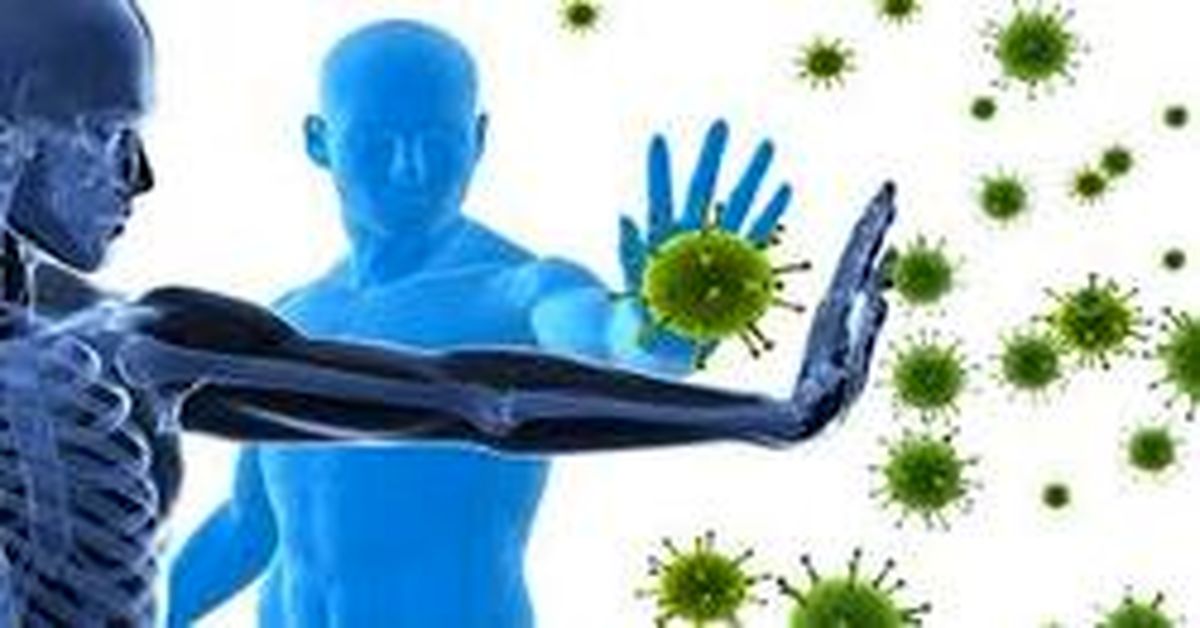 سیستم ایمنی بدن خود را چگونه تقویت کنیم؟