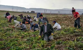 آب مورد نیاز کشت پائیزه در دزفول تامین می شود