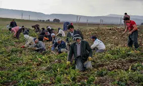 آب مورد نیاز کشت پائیزه در دزفول تامین می شود