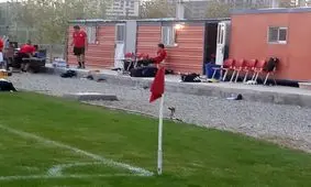 مسئول عملیاتی، پست جدید مانوئل در تیم ملی فوتبال ایران