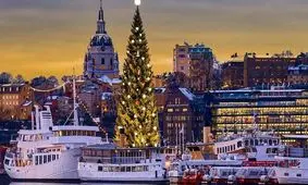 زیباترین درخت کریسمس در سوئد + عکس