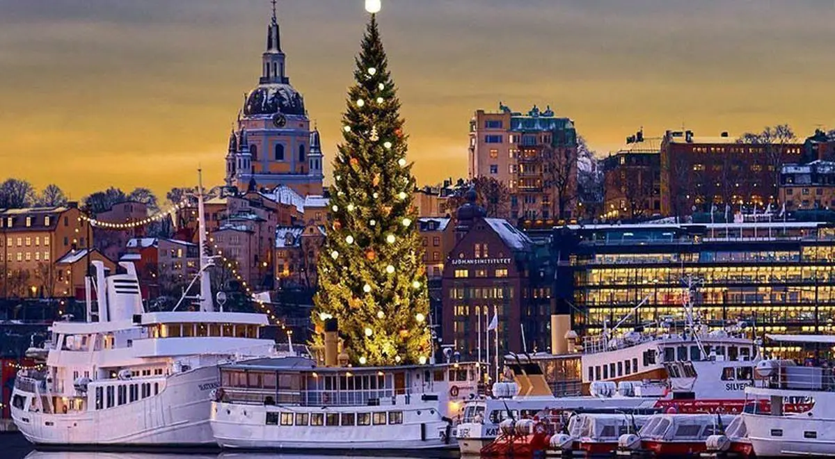 زیباترین درخت کریسمس در سوئد + عکس