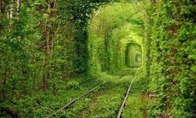 بهشت جای چه افرادی است؟ / آیا امکان دارد که غیرمسلمانان نیز وارد بهشت شوند؟