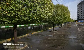 بیشترین بارشهای امروز در "آب مورد"و"دره بید"لوداب/کاهش دمای استان