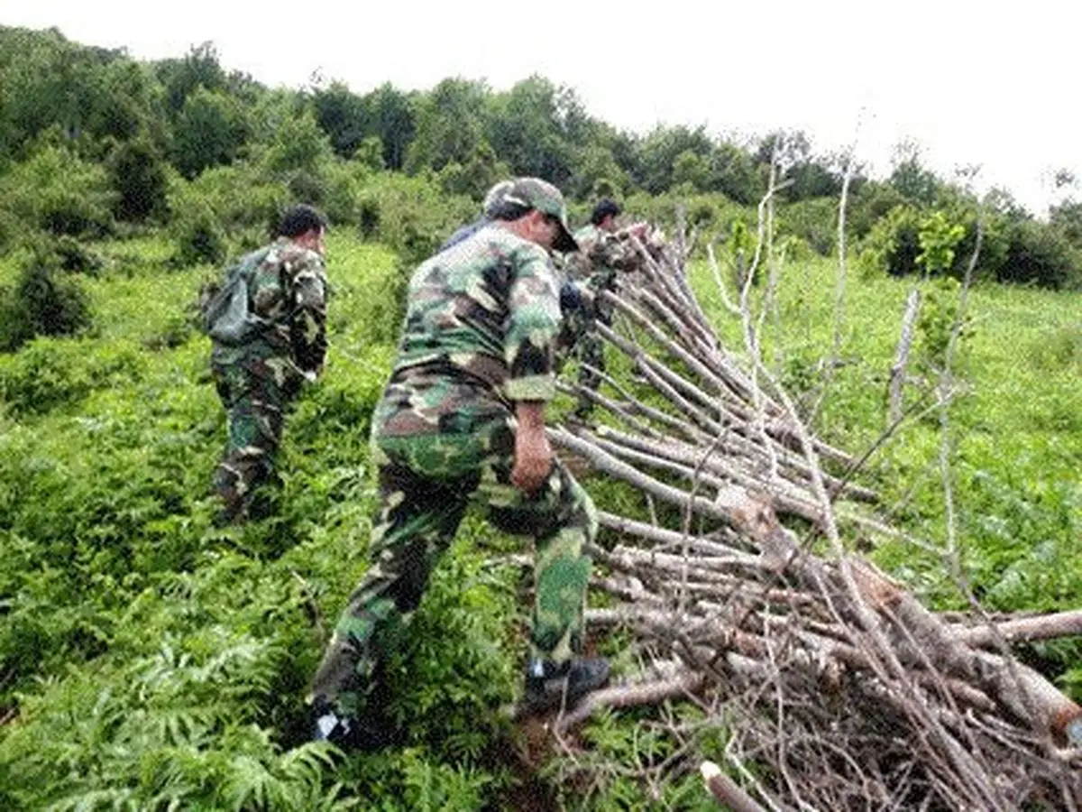 رفع تصرف از 4000 مترمربع از اراضی دولتی گلستان