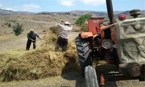 مرگ دلخراش زن ۳۵ ساله نیشابوری در دستگاه خرمنکوب