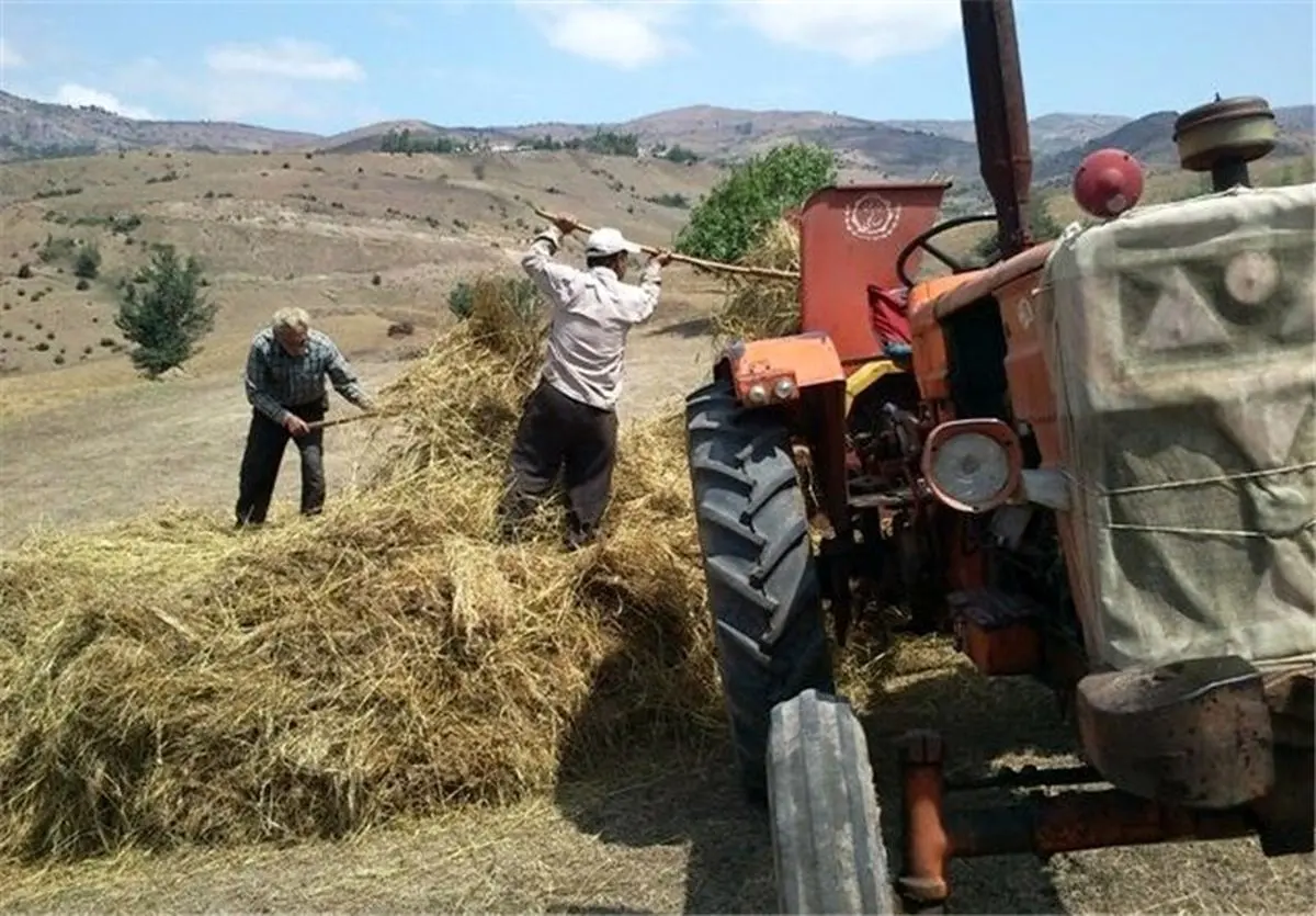 مرگ دلخراش زن ۳۵ ساله نیشابوری در دستگاه خرمنکوب