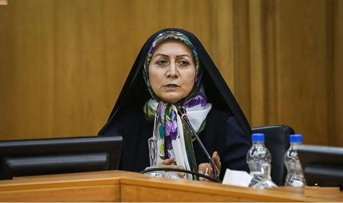 دلیل خروجم از شورا قهر نبود/ به ما پیامک می‌زنند و تهدید می‌کنند که چرا به لایحه بودجه اربعین و عطر سیب رای ندادیم
