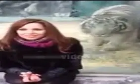 اگر شیشه نبود گوشت چرخ‌کرده می‌شد!