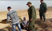 دستگیری متخلفان زنده‌گیری پرندگان شکاری کمیاب و در حال انقراض