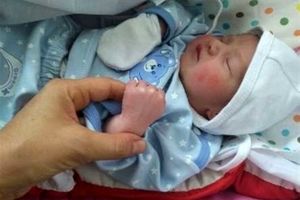 نسبت ازدواج به طلاق در همدان ۴ به یک است