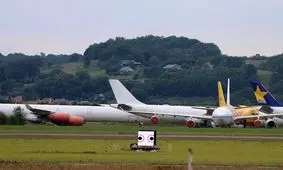 فریب پرندگان برای دورکردن آنها از فرودگاه ها