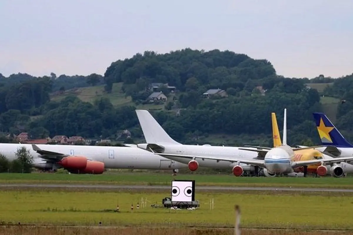 فریب پرندگان برای دورکردن آنها از فرودگاه ها