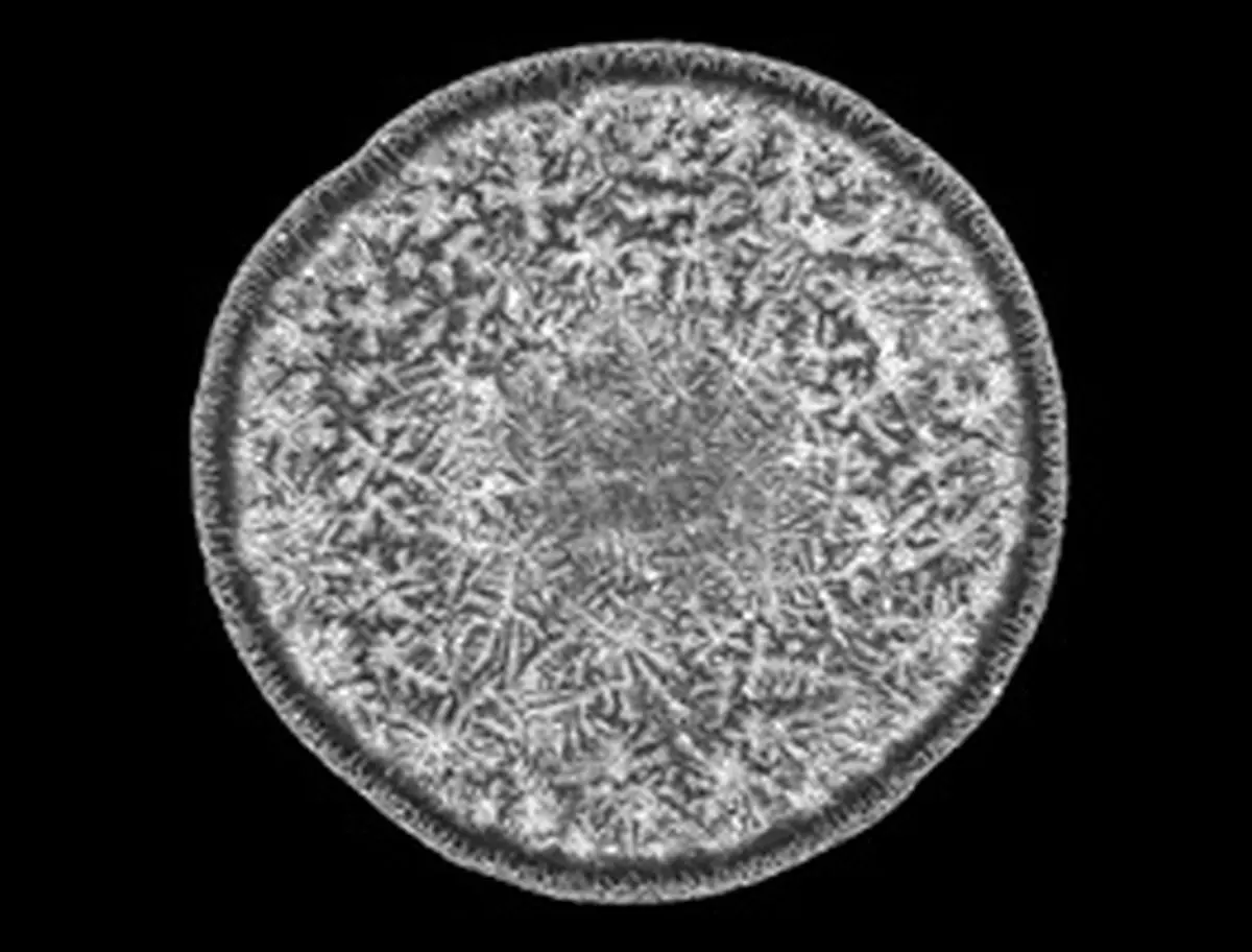 قطره اشک انسان را زیر میکروسکوپ ببینید