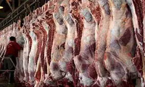 توزیع ۱۴۶۰ تن گوشت دولتی درکهگیلویه و بویراحمد