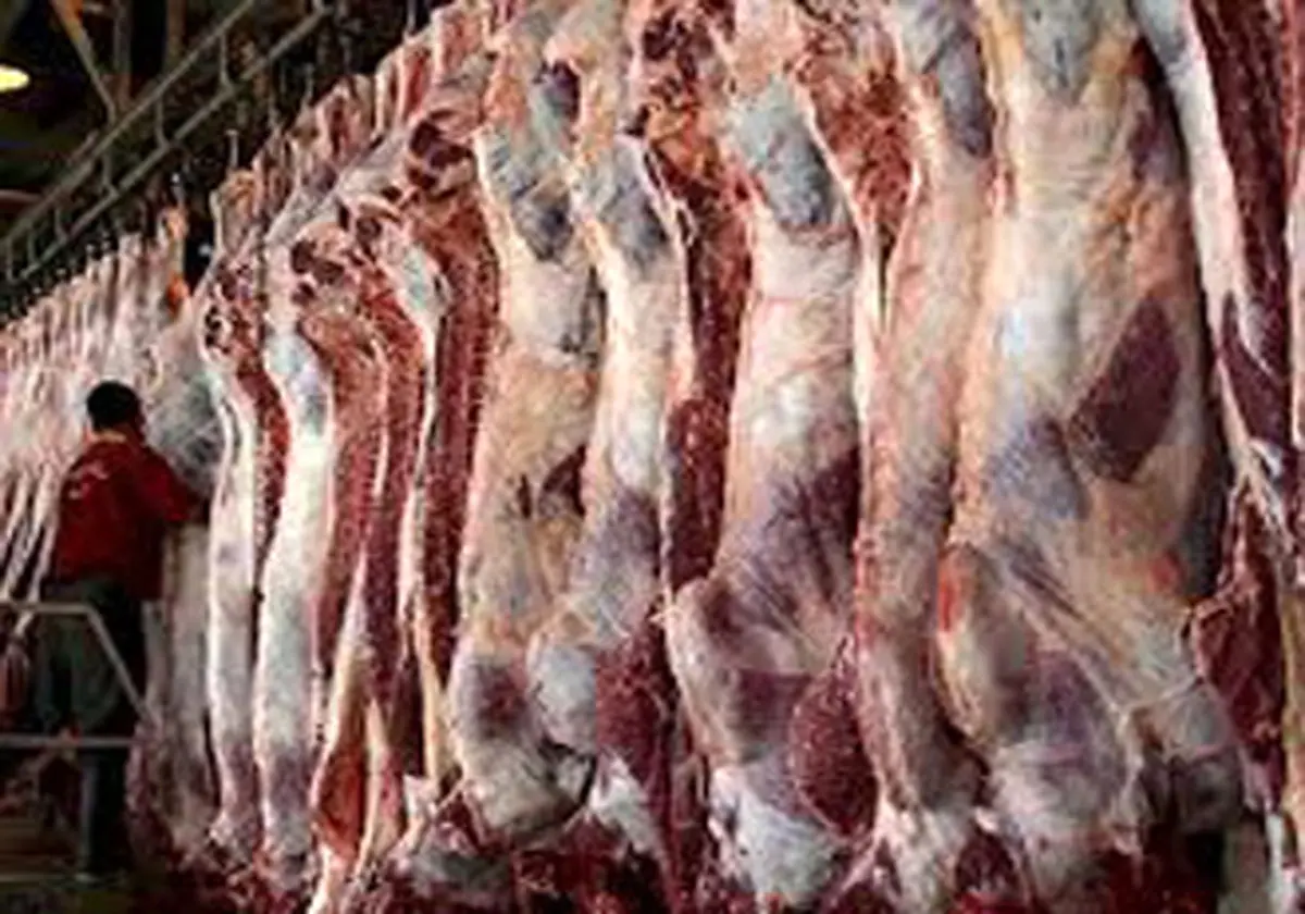 توزیع ۱۴۶۰ تن گوشت دولتی درکهگیلویه و بویراحمد