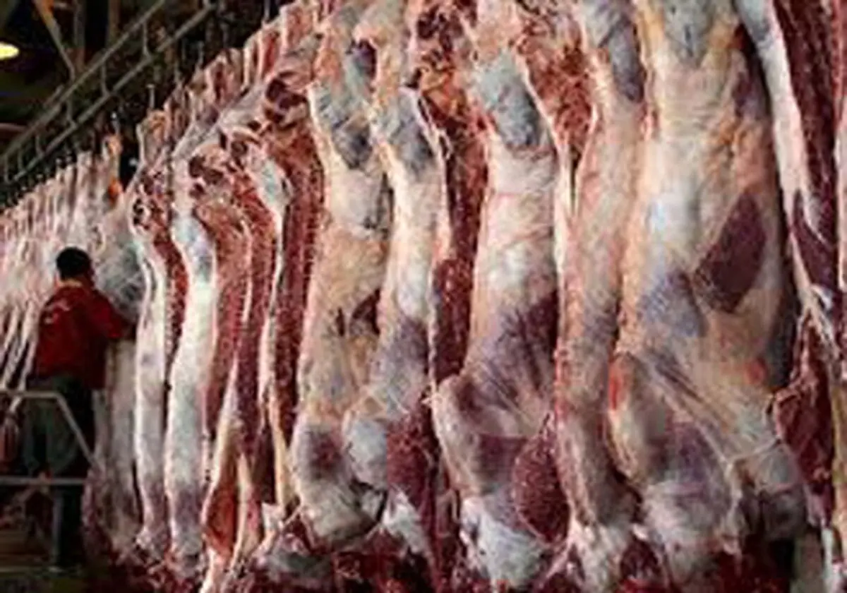 توزیع ۱۴۶۰ تن گوشت دولتی درکهگیلویه و بویراحمد