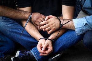 اعضای باند سرقت احشام در دلیجان دستگیر شدند