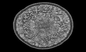 قطره اشک انسان را زیر میکروسکوپ ببینید