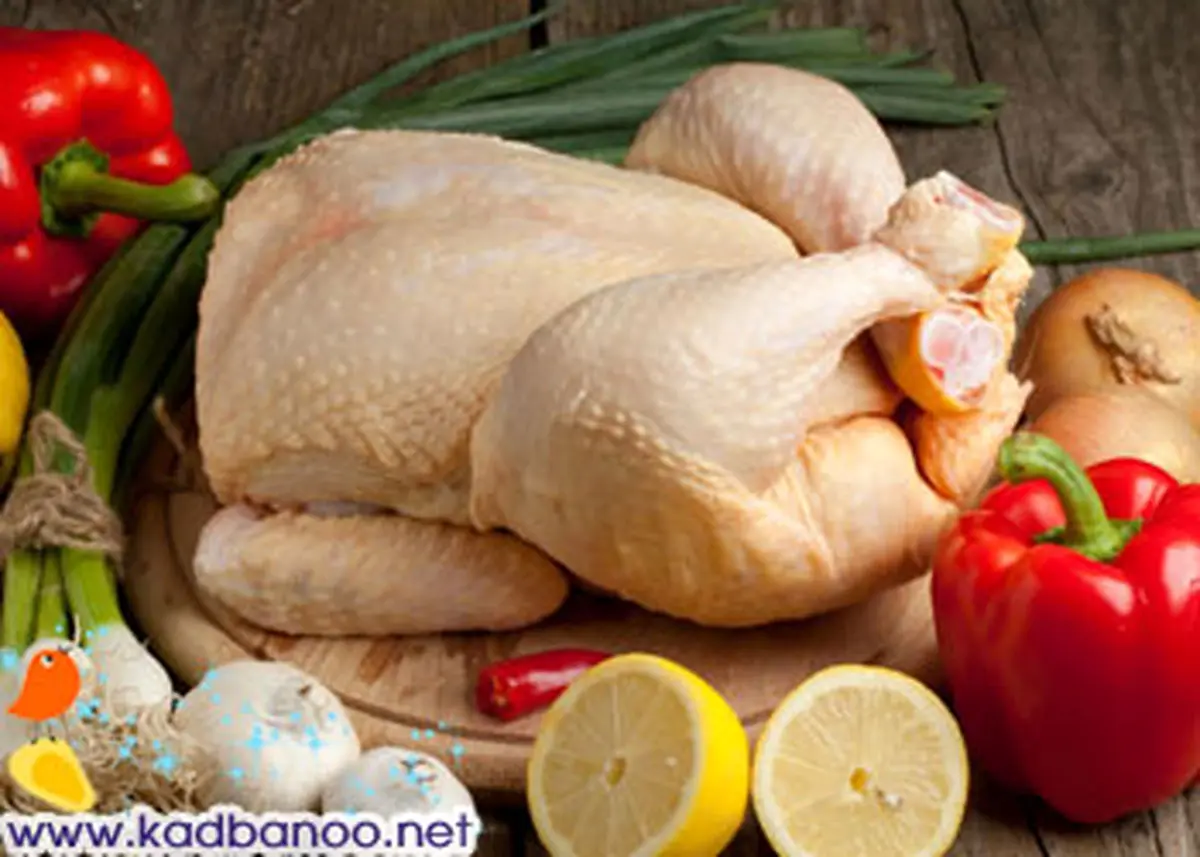 افزایش قیمت مرغ هنوز تصویب نشده است