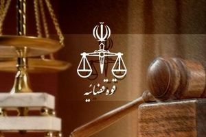 دومین عامل اصلی شهادت محیط بان کرمانی دستگیر شد