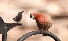 این چیزها را از دیگران توقع نداشته باشید