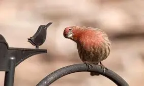 این چیزها را از دیگران توقع نداشته باشید