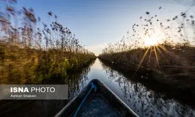 پسابها وضعیت تالاب انزلی را نگران‌کننده کرده‌اند