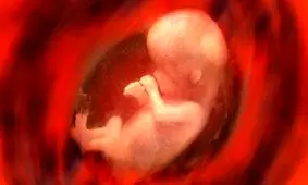 مکانیزم موثر در زایمان زودرس شناسایی شد