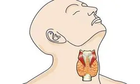 عاداتی که سلامت تیروئید را به خطر می‌اندازد