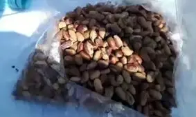 مواد مخدرِ پسته‌ای