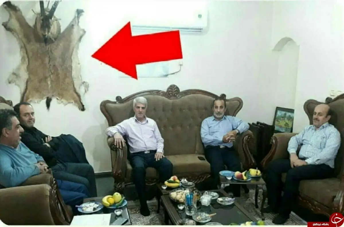 توضیحات محیط زیست مازندران درباره عکس عجیب آقای فرماندار زیر لاشه یک گوزن / عکس