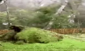 قدرت خارق العاده باد