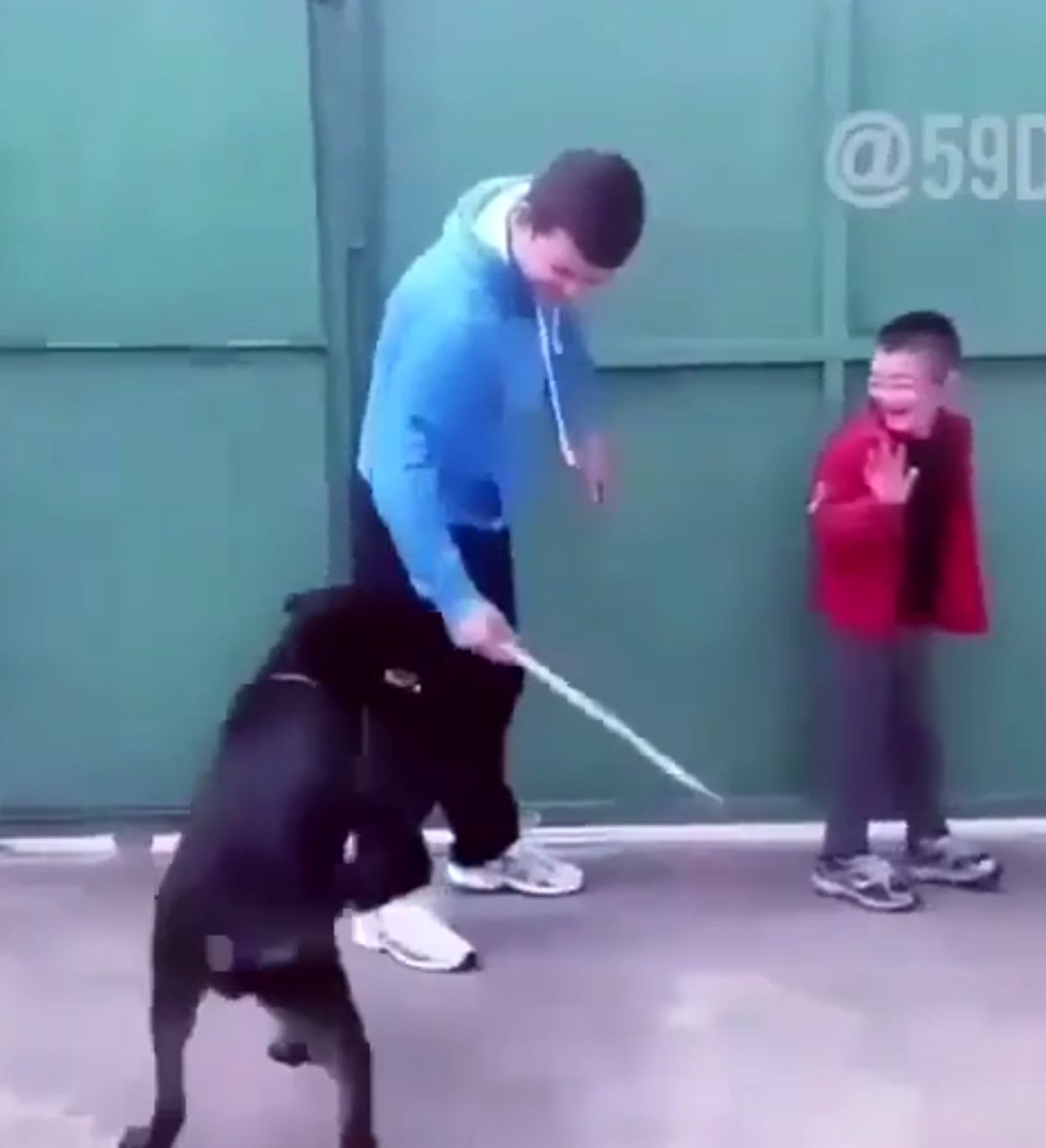 واکنش سگ به کتک زدن کودک