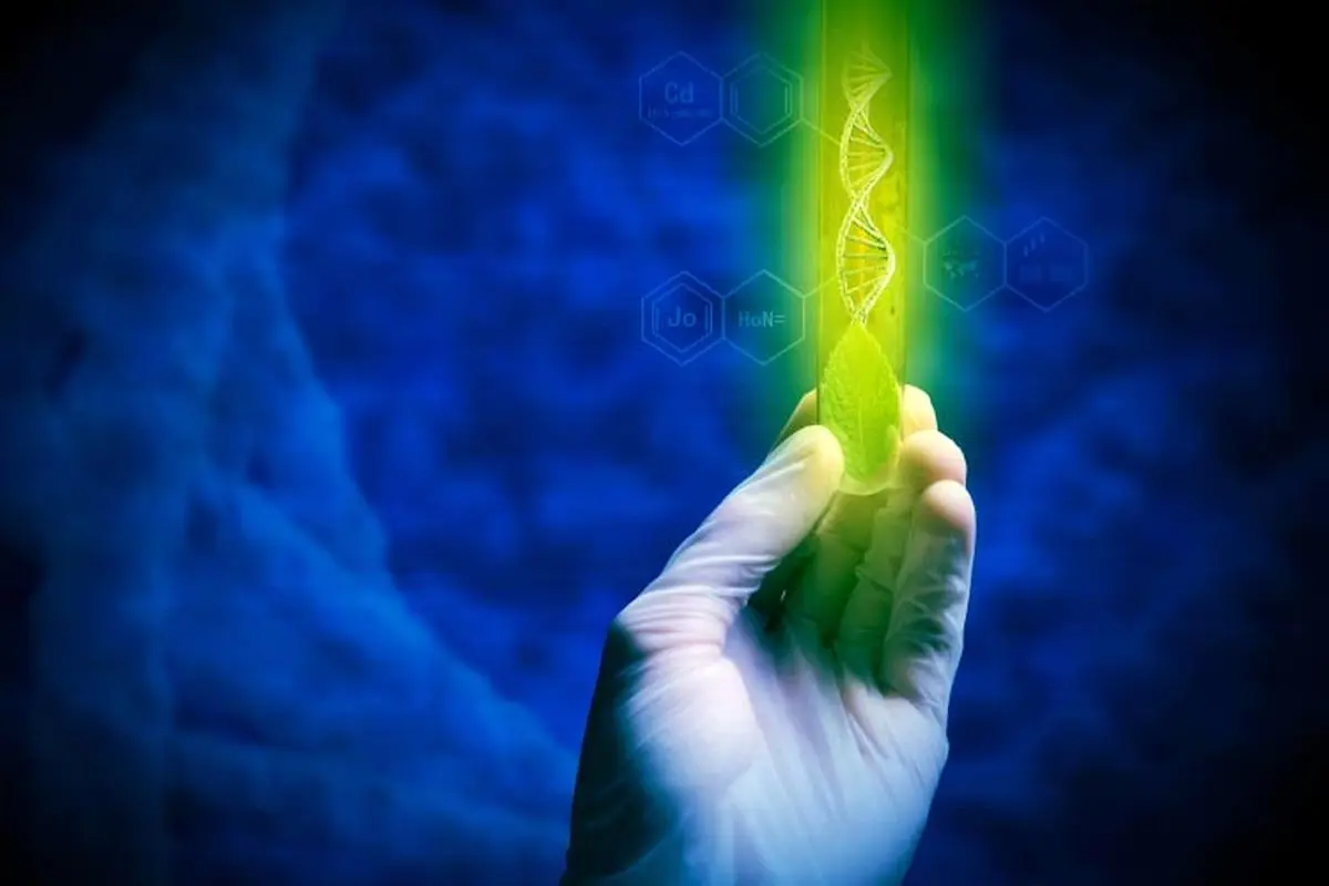 پلیس با کمک DNA مجرمان را شناسایی می‌کند